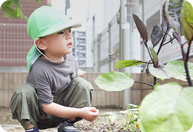 新松戸ゆいのひ保育園
